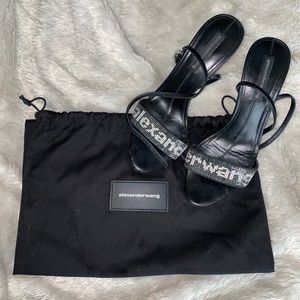 Alexander Wang Jane Crystal logo